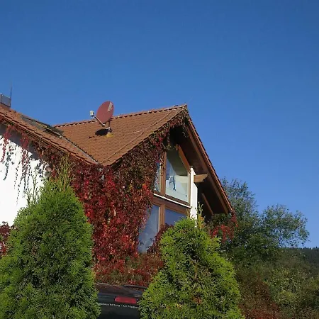 Am Löffelberghüttchen Apartment Gießübel